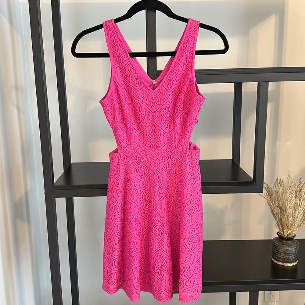 Francesca’s Pink Lace Dress